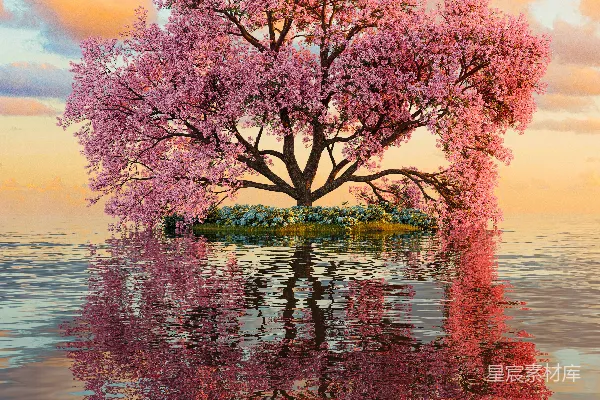 高清摄影 一幅树在水中的画作