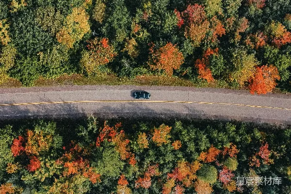 高清摄影 一辆车在树木环绕的道路上行驶