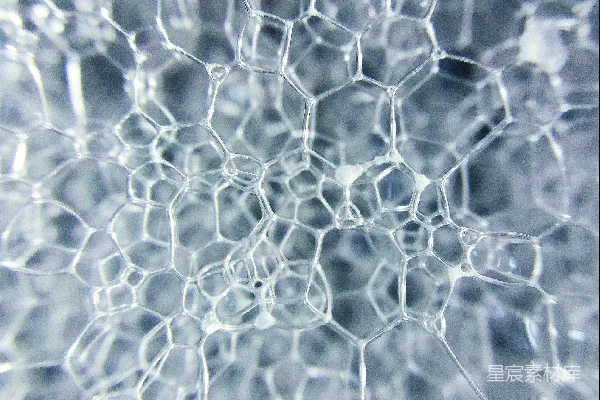 高清摄影 一朵白色的花的特写视图