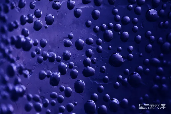高清摄影 水珠的特写照片