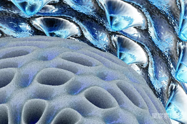 高清摄影 计算机生成的一张蓝色花朵图片
