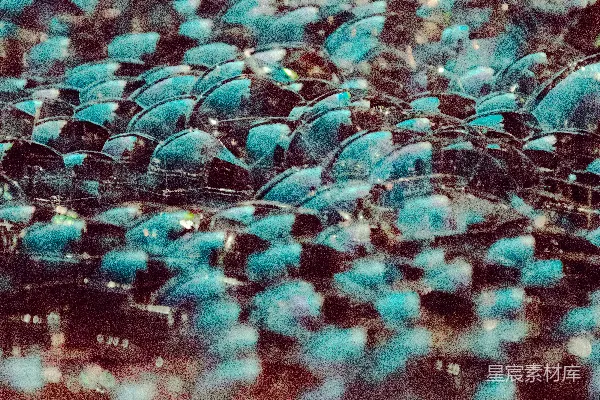 高清摄影 蓝粉光斑