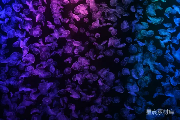 高清摄影 抽象的色彩斑斓的发光粒子在黑暗的背景下。