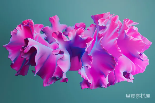 高清摄影 在蓝色背景上的一朵粉红色花的特写。