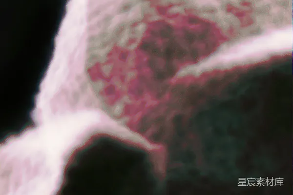 高清摄影 粉色和白色纹理物体的特写。