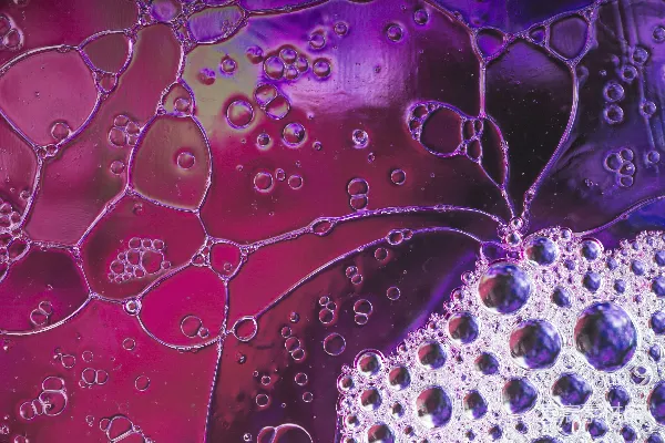 高清摄影 一张紫色背景上水珠特写的照片