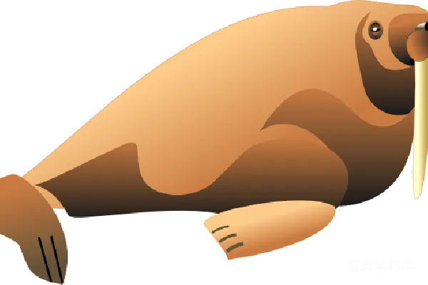 元素素材 Walrus象鼻鱼