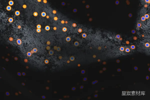 高清摄影 一张黑白物体的特写照片