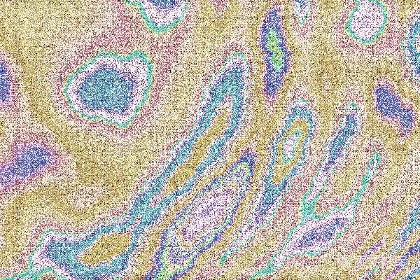 高清摄影 抽象的柔和色调有机图案，带光影效果