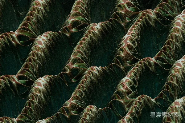 高清摄影 一张绿色植物特写的照片
