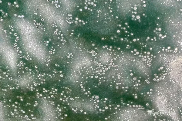 高清摄影 一扇窗户上水滴的特写。