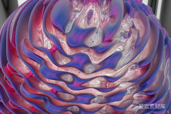高清摄影 一朵紫色和粉色的花，背景是黑白相间的。