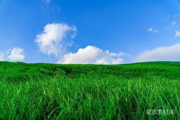 高清摄影 蓝天白云下的绿草地