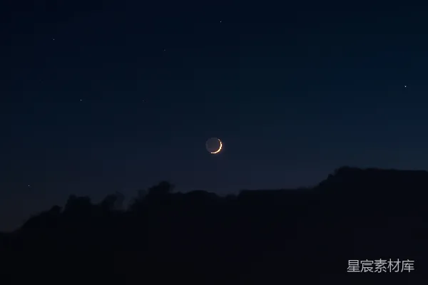 高清摄影 夜晚树木的剪影