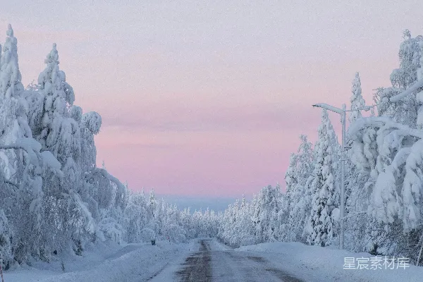 高清摄影 白天的积雪覆盖的树木和道路