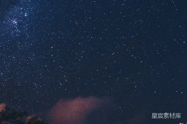 高清摄影 在星空下，水边的树木的照片