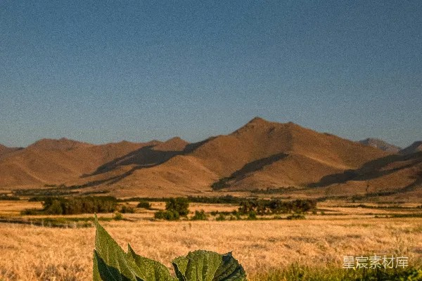 高清摄影 一片田野的景色，背景是山脉。