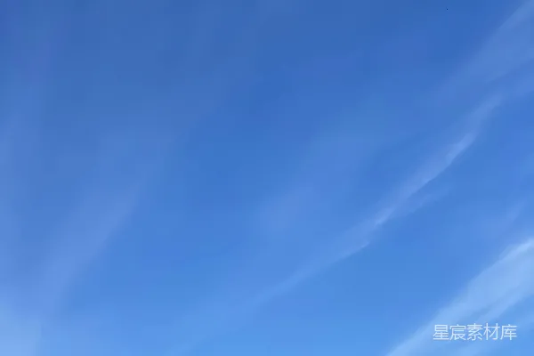 高清摄影 光秃秃的树在蓝天之下