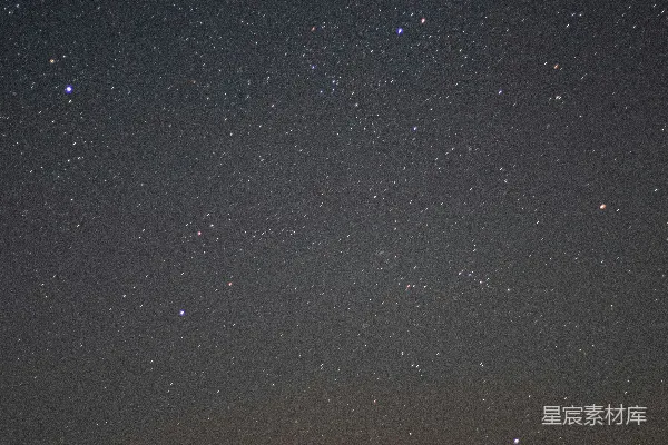 高清摄影 星星点点的夜空下，玉米田里静谧无声。