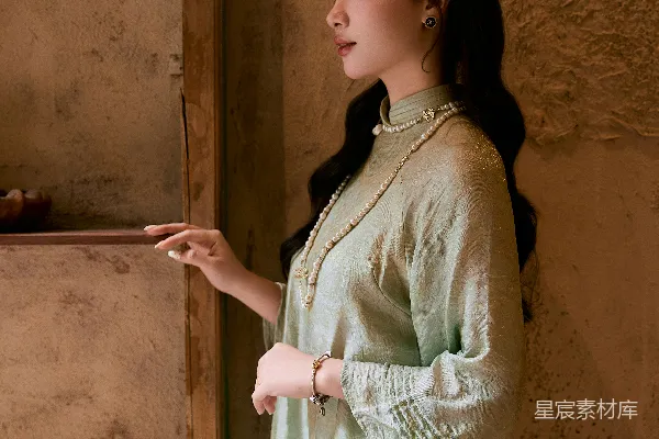 高清摄影 传统越南女式长袍的女子