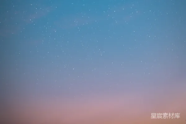 高清摄影 一个夜晚的天空，前景中有星星和树木。