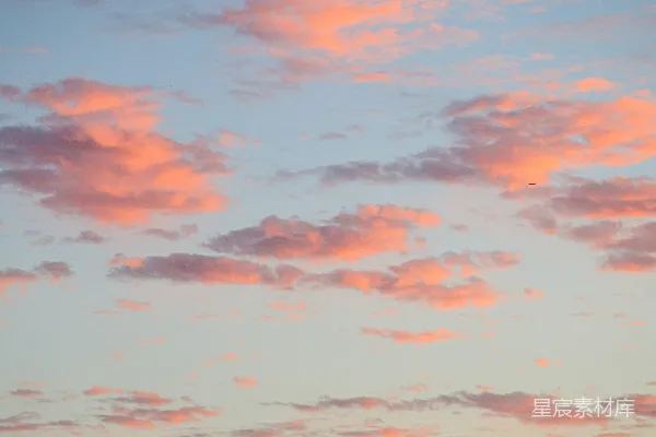 高清摄影 一架飞机在夕阳下飞行