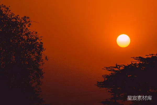 高清摄影 夕阳西下，树木剪影