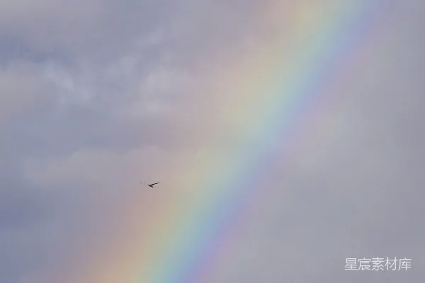 高清摄影 天空中有一道彩虹，一只鸟飞过。