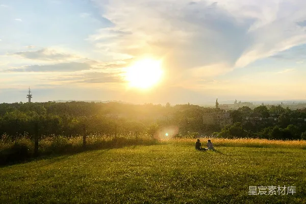 高清摄影 白天的绿色草地