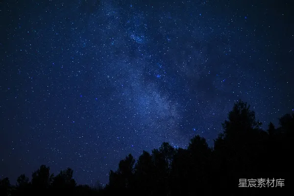 高清摄影 在夜空中，蓝天下树木的剪影