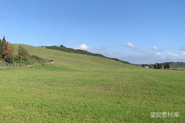 高清摄影 一片草地，背景中有一道栅栏。
