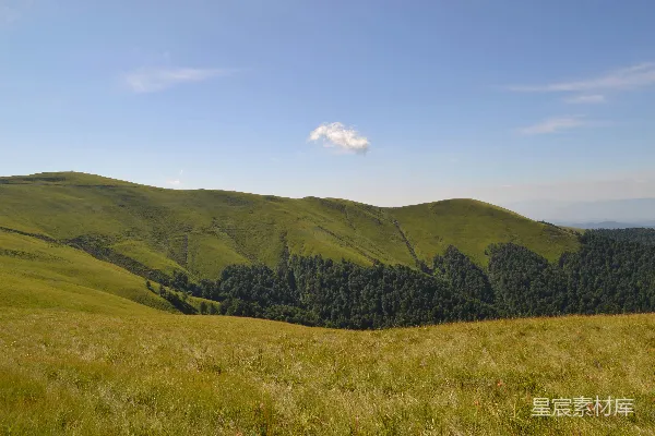 高清摄影 一片草地，背景是山脉。