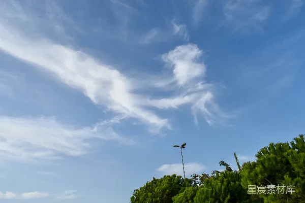 高清摄影 白天蓝天下绿树白云