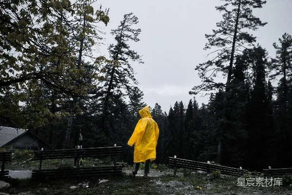 高清摄影 身穿黄色雨衣的人站在森林中
