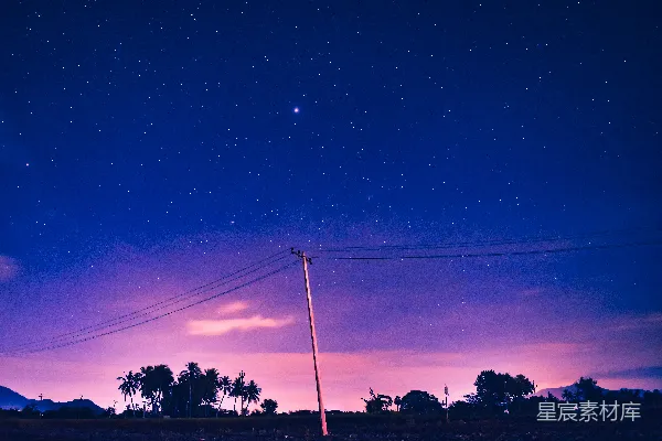 高清摄影 在蓝天下的夜晚，树木剪影