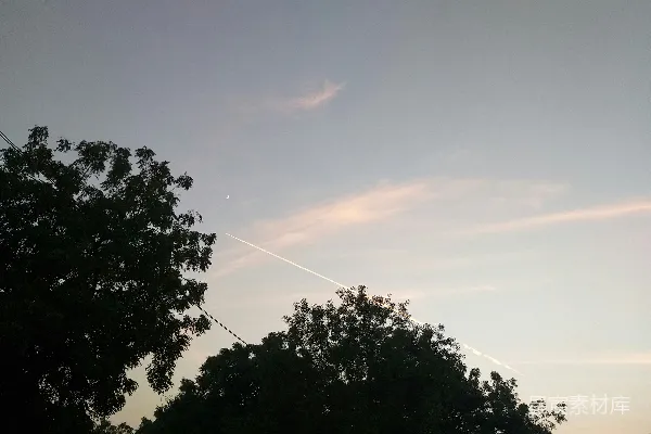 高清摄影 一群树木，背景是蓝天。