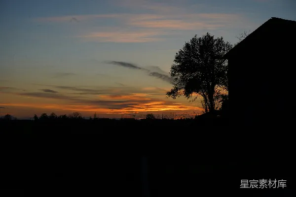 高清摄影 夕阳下树的剪影