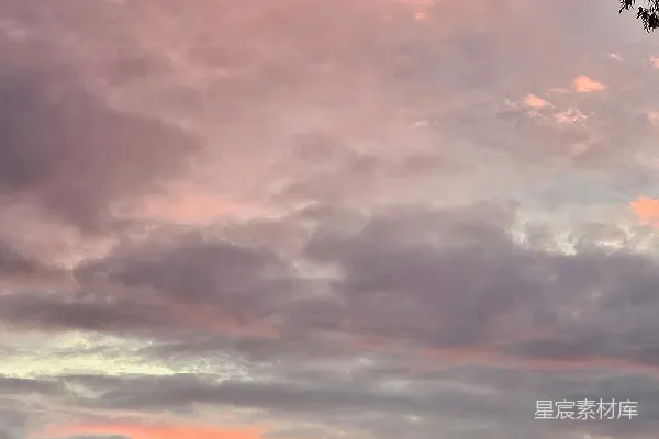 高清摄影 一座建筑在前景中有一棵树，背景是日落。