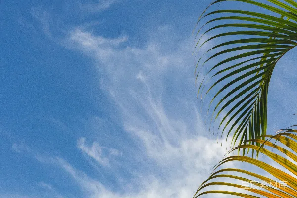 高清摄影 白蓝螺旋建筑
