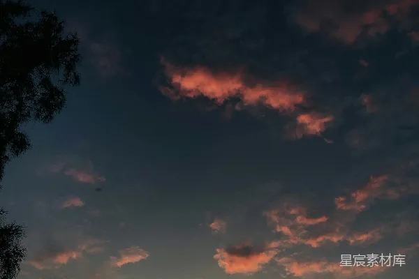 高清摄影 一片漆黑的天空，几朵云和几棵树。