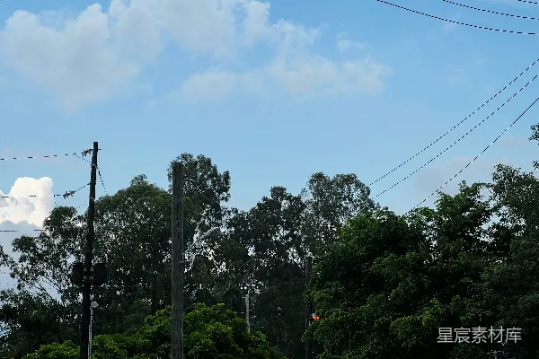 高清摄影 街道上的一盏交通灯，背景是树木。