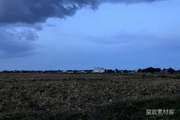 高清摄影 白天蓝天下的绿草地