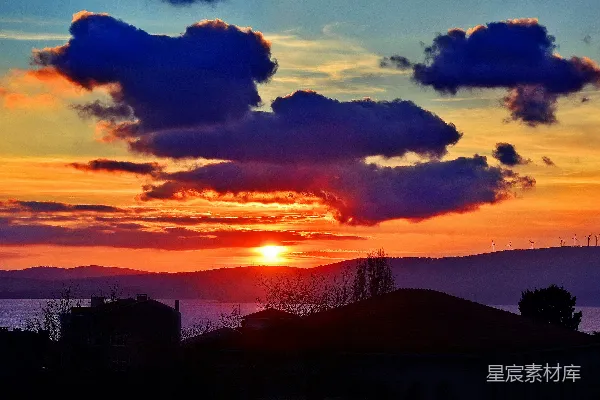 高清摄影 阴云密布的夕阳下树木的剪影