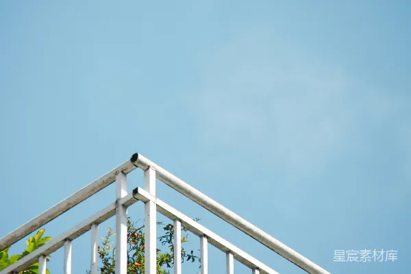 高清摄影 一只鸟栖息在树旁的栏杆上。