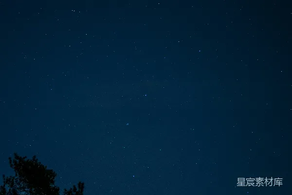 高清摄影 夜空中星星闪烁，前景中有树木。