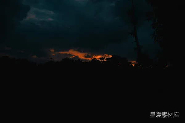 高清摄影 夕阳照耀着森林
