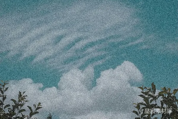 高清摄影 一只长颈鹿站在森林中央。