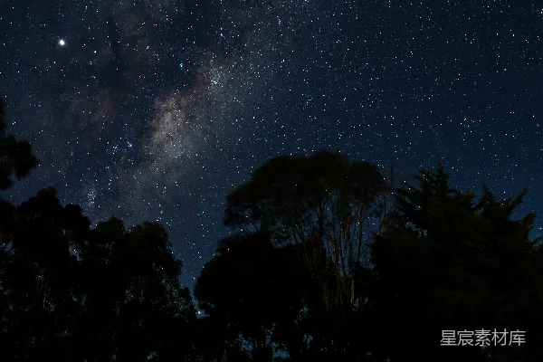 高清摄影 树的剪影在星空下