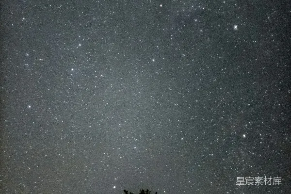 高清摄影 星空下的绿树