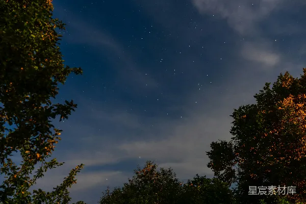 高清摄影 夜空中几颗星星悬挂在树木上方。